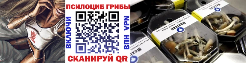 Псилоцибиновые грибы мицелий дарнет шоп Зима