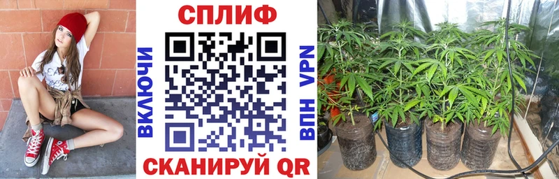 гидра онион  Зима  Бошки Шишки конопля  наркота 
